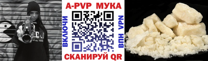 A PVP СК КРИС дарнет шоп MEGA как войти Дубна