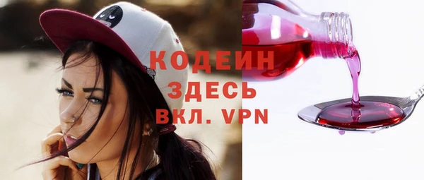 эйфоретик Бородино