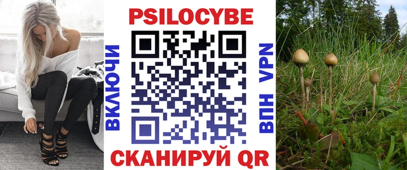 omg ссылки  цены наркотик  Дубна  Псилоцибиновые грибы MAGIC MUSHROOMS 