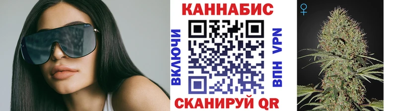Бошки Шишки план Дубна